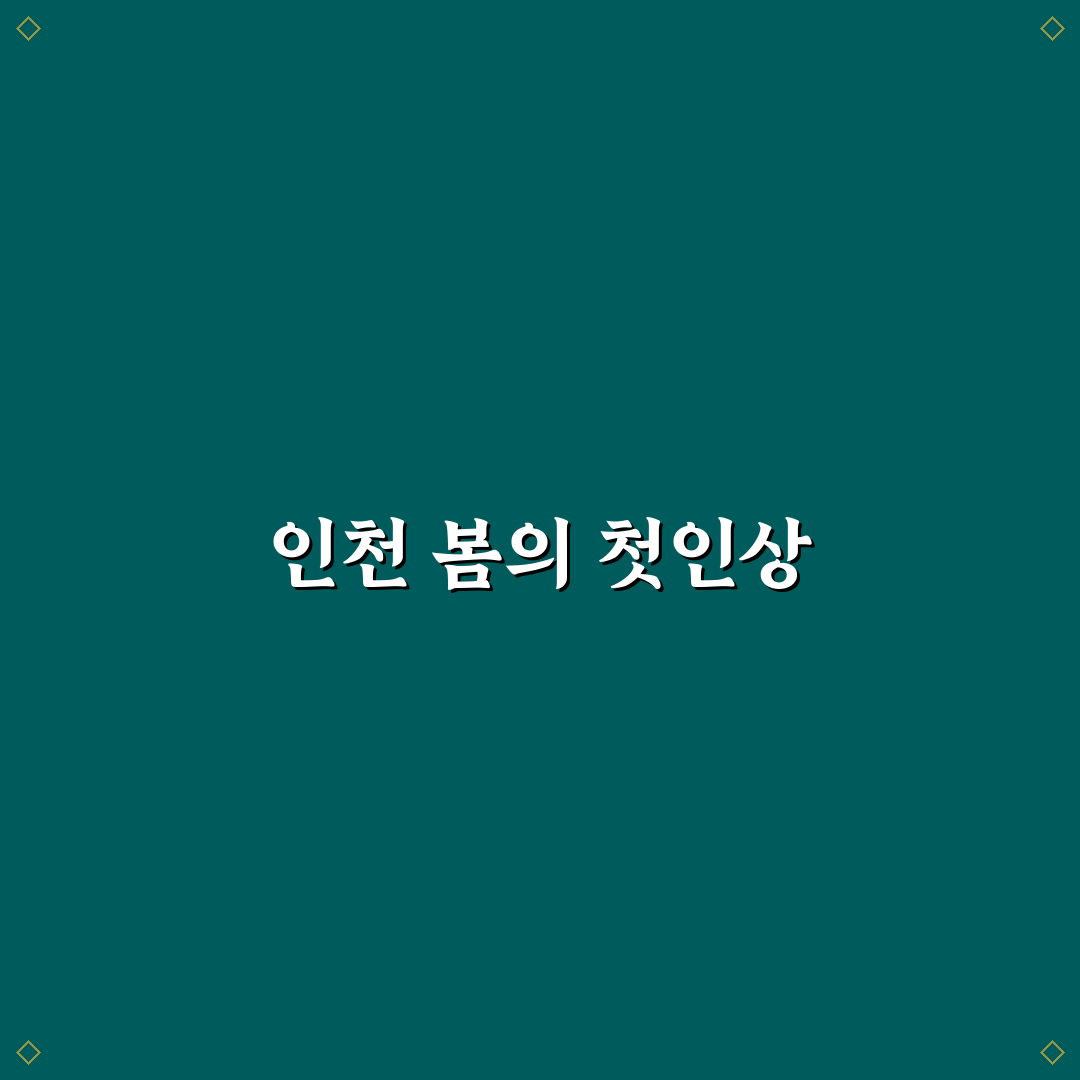 인천 이팝나무 명소 방문 후기, 봄 풍경 직접 가보니