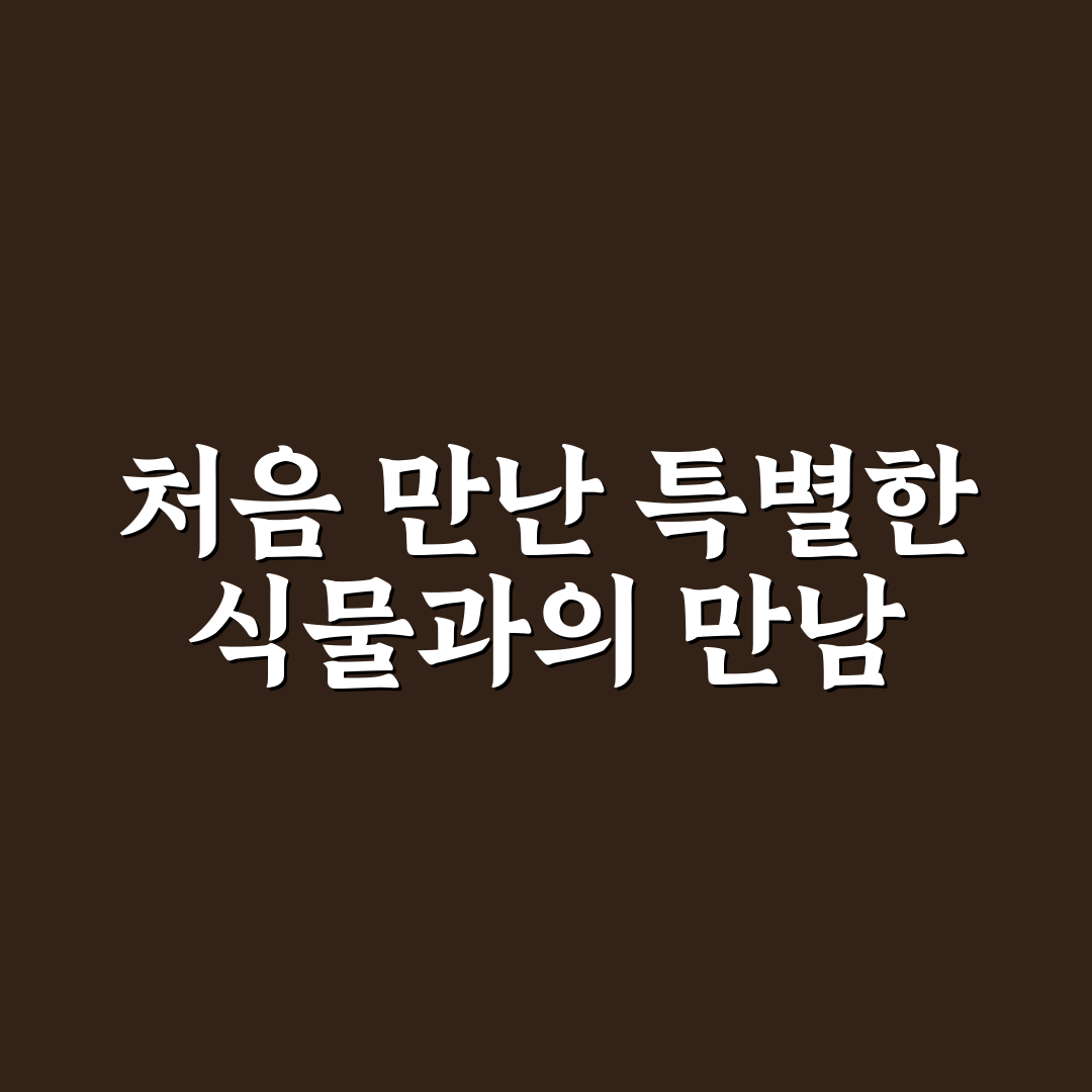 등심붓꽃 모종 직접 심어보니 키우기 적합한지 궁금했어요