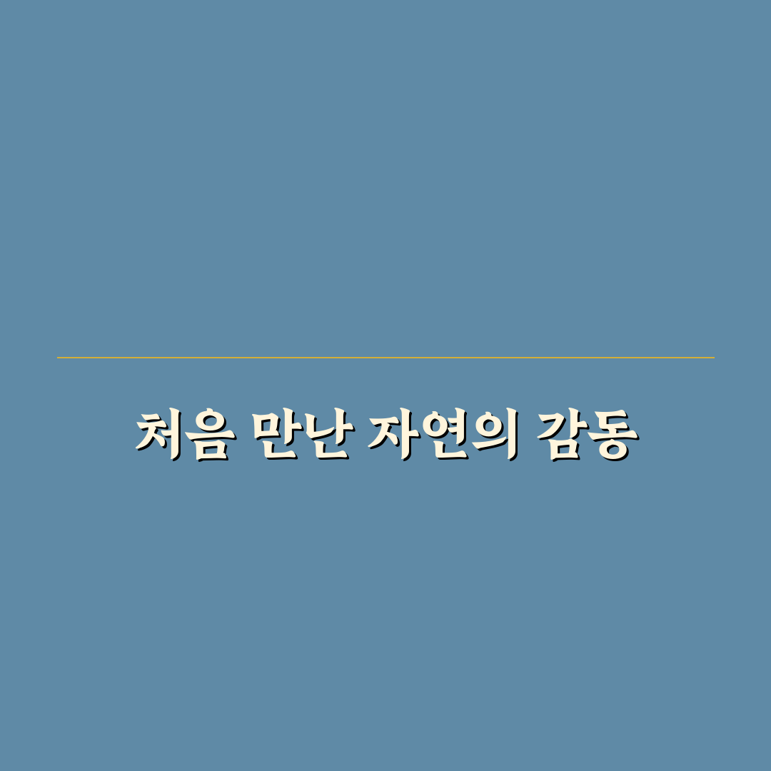 버베나 키우기 후기, 직접 경험해보니 알게 된 점들