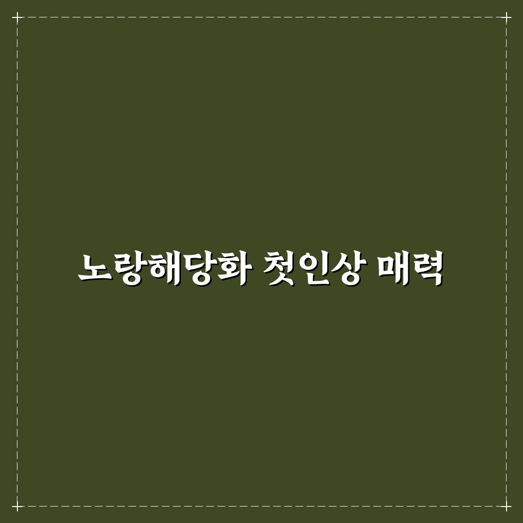 노랑해당화 판매 사용 후기, 직접 써보니 알게 된 점