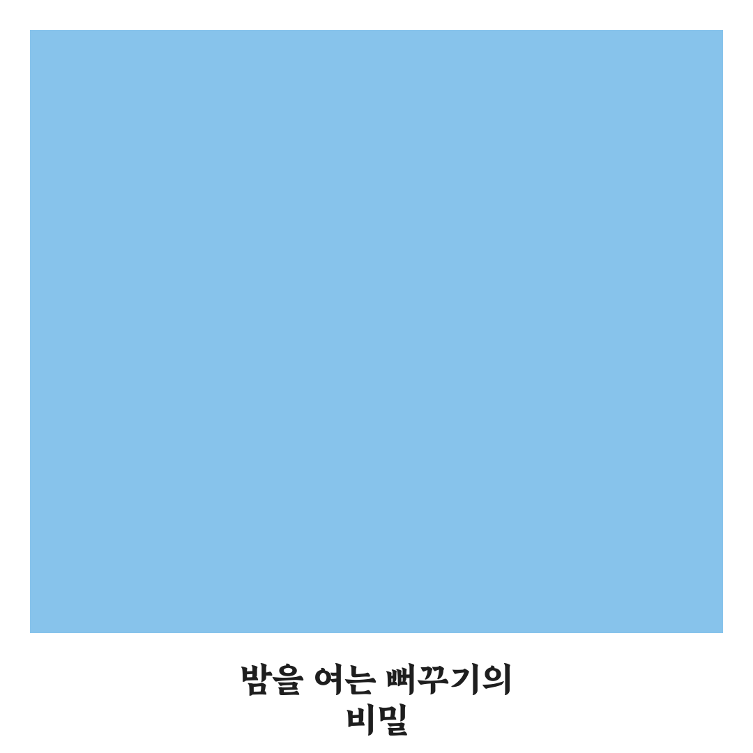 뻐꾸기 야행성 직접 관찰해보니 신기했던 점들