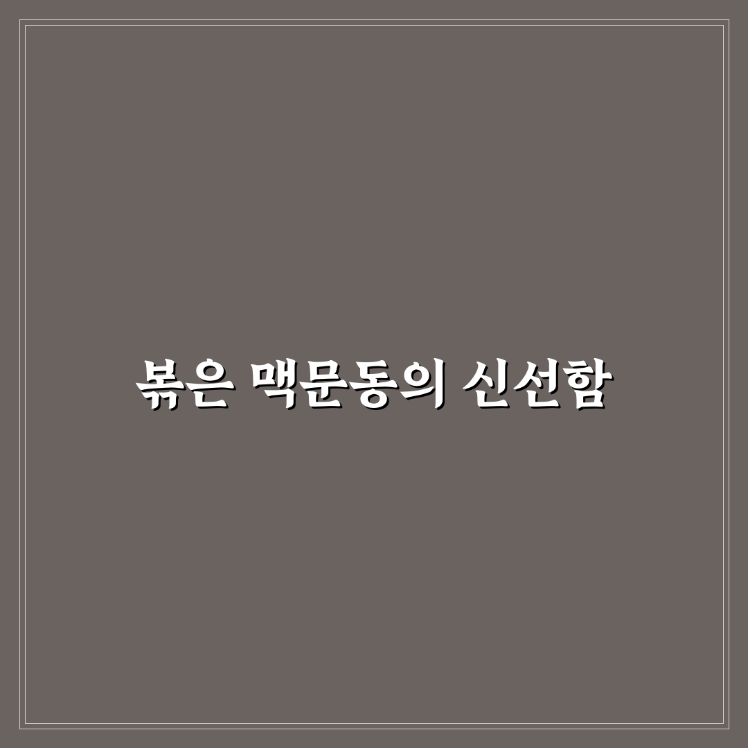 볶은 맥문동 가루 사용 후기, 직접 써보니 느낀 점