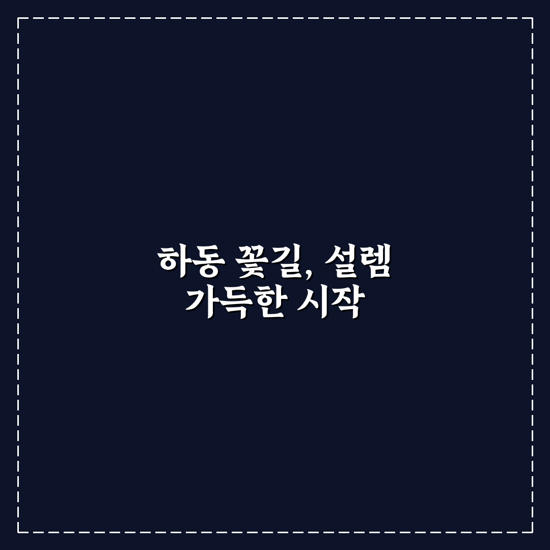 하동 양귀비축제 방문 후기, 직접 가보니 분위기는 어땠는지