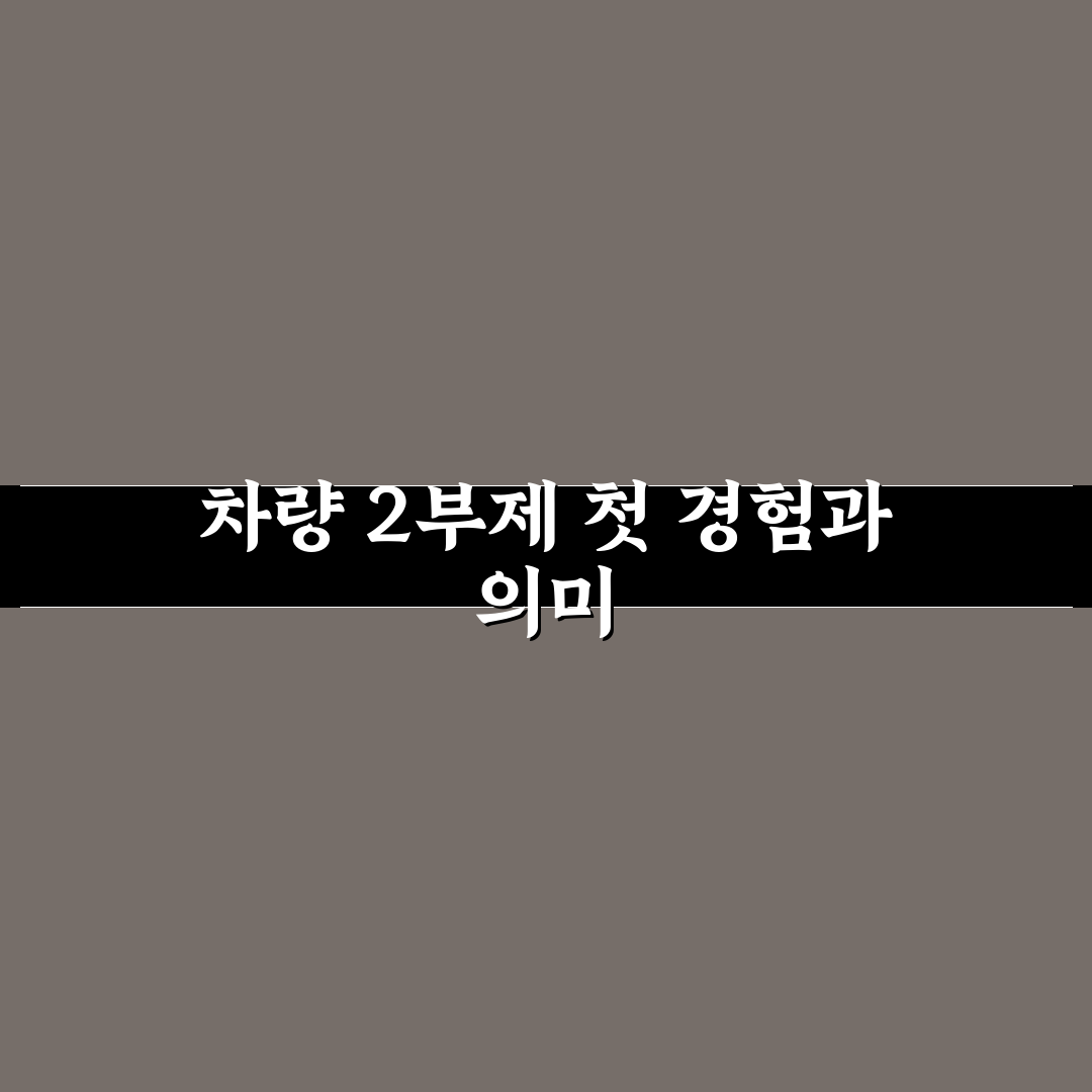 차량 2부제 벌금 직접 알아보니 유의할 점