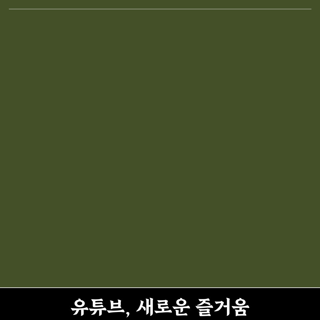 유튜버 한시연 채널 직접 이용해보니 솔직한 느낌
