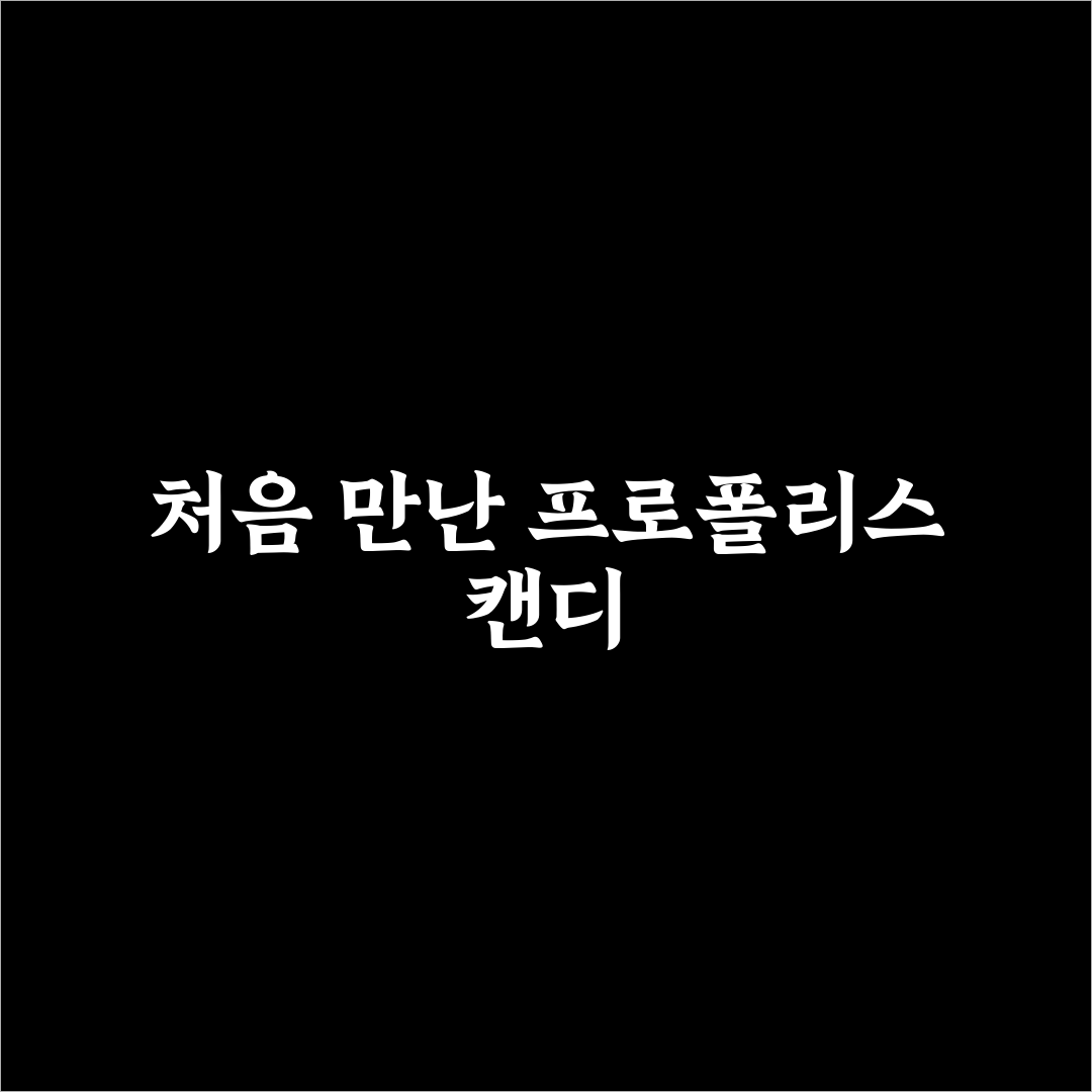 약국 프로폴리스 캔디 사용 후기, 직접 써보니 알게 된 점