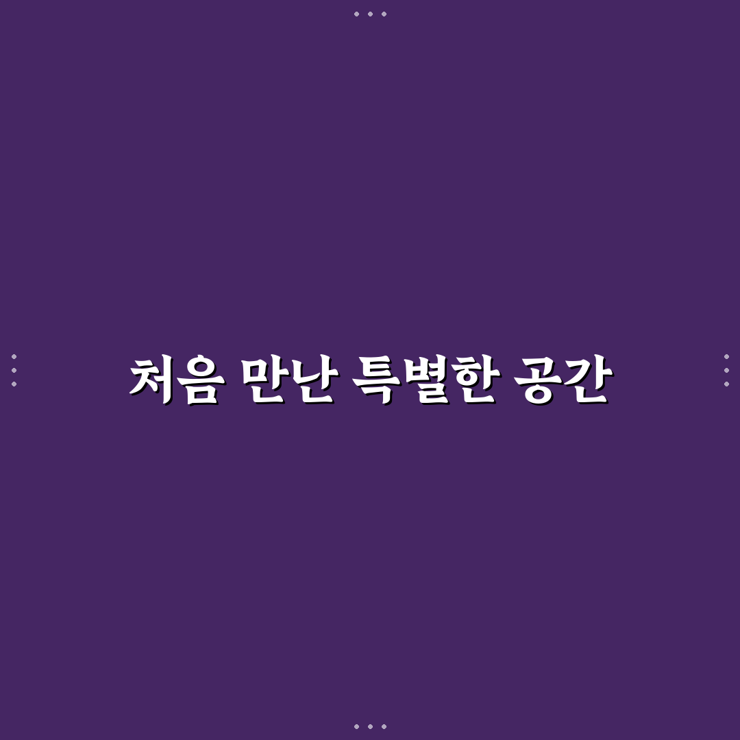 남이섬 주인 방문 후기, 직접 가보니 알게 된 점