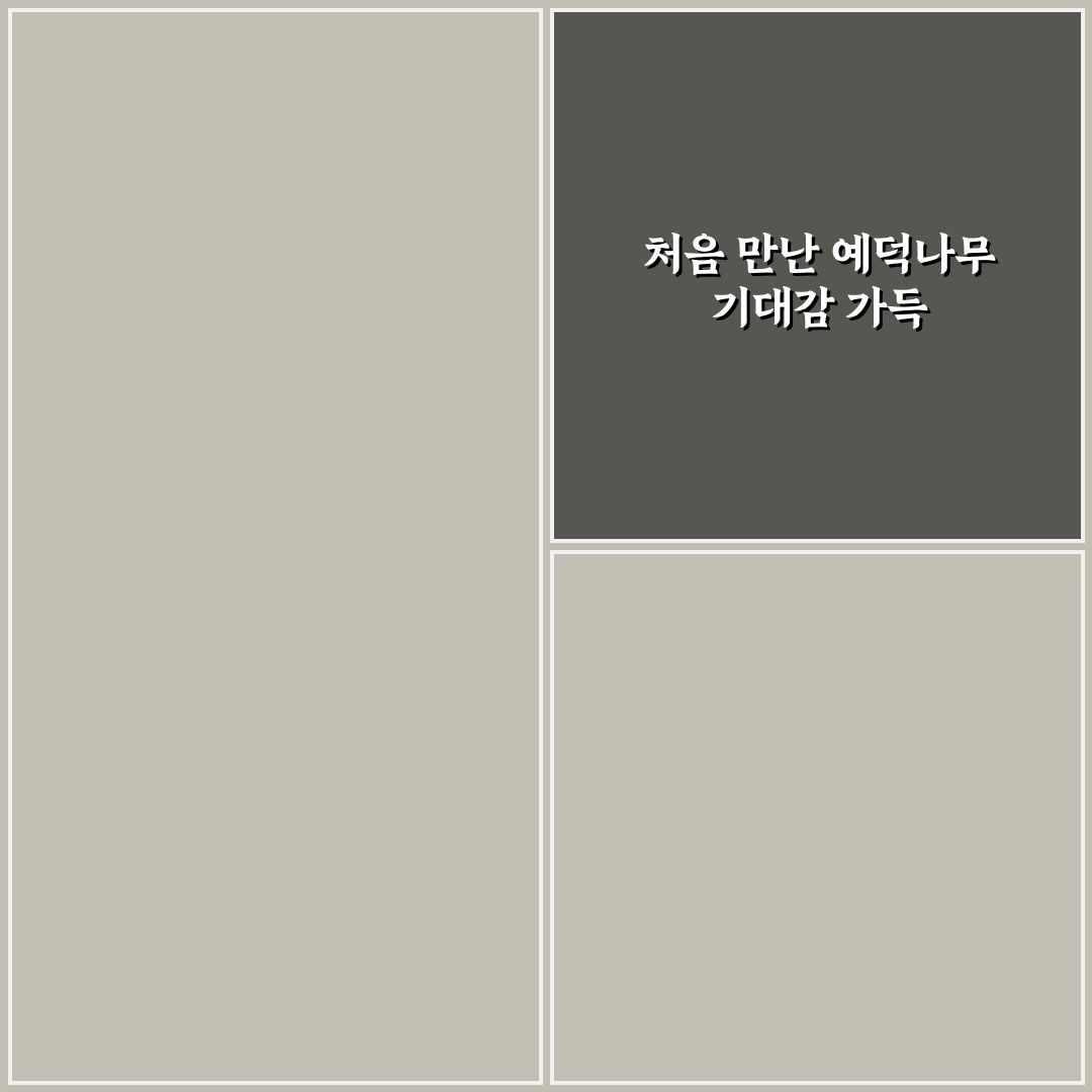 예덕나무 효능 직접 알아보니 일상에 미친 영향