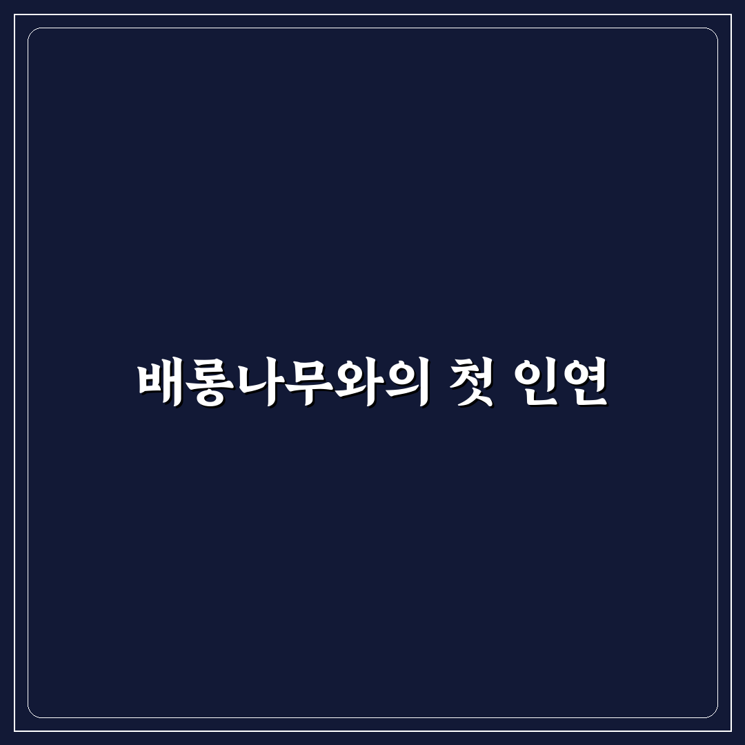 배롱나무 묘목 직접 심어보니 성장 속도와 관리법 후기