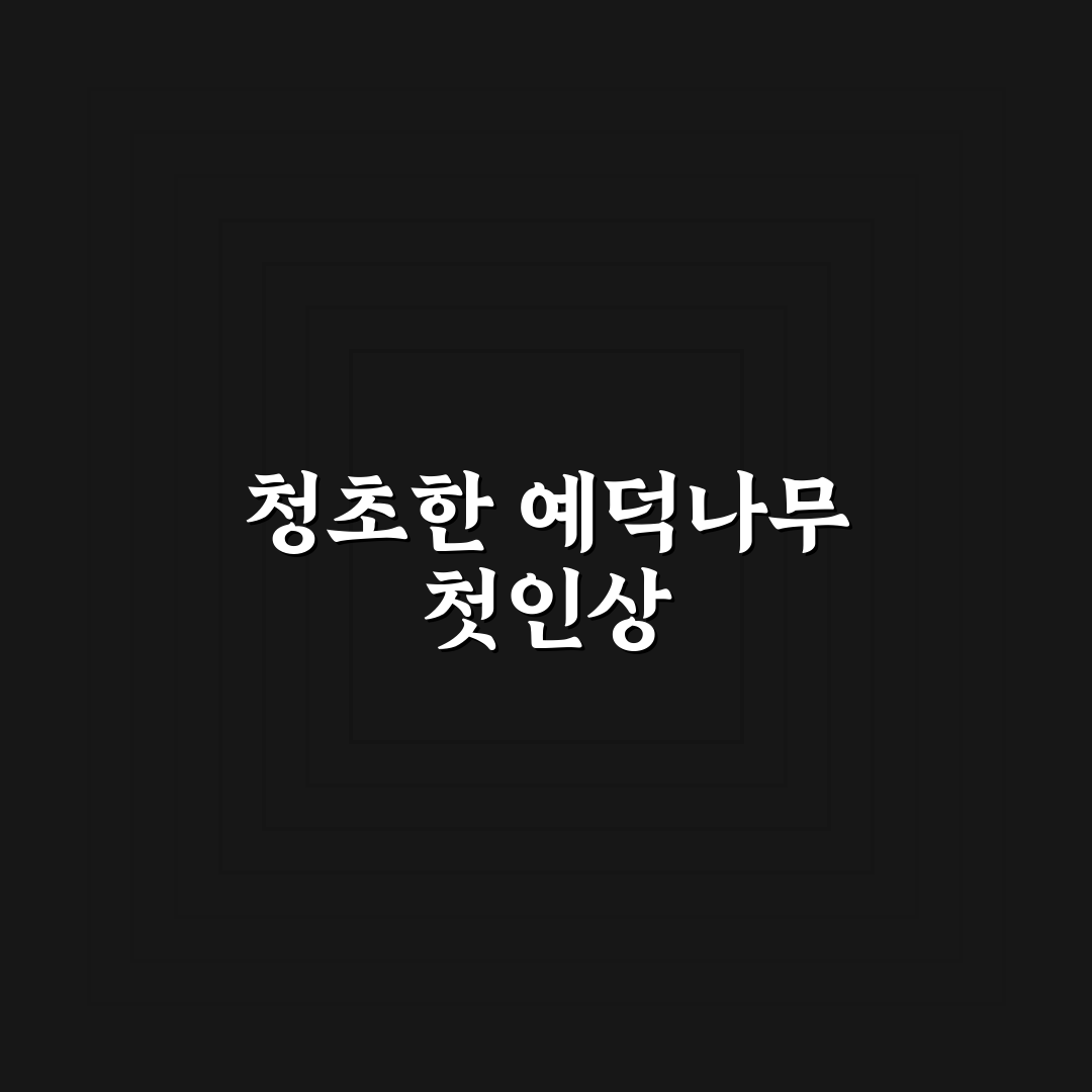 예덕나무 사용 후기, 직접 써보니 느낀 점 정리