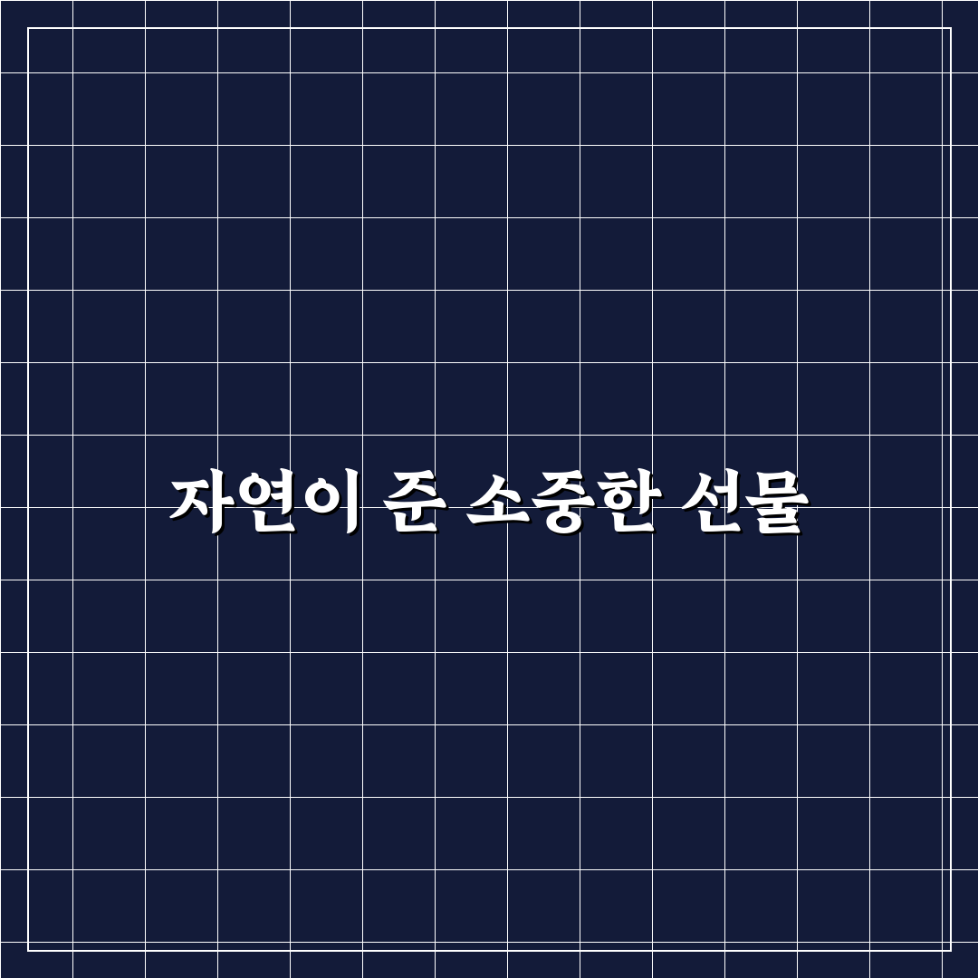 캐모마일 모종 사용기, 직접 키워보니 알게 된 점들