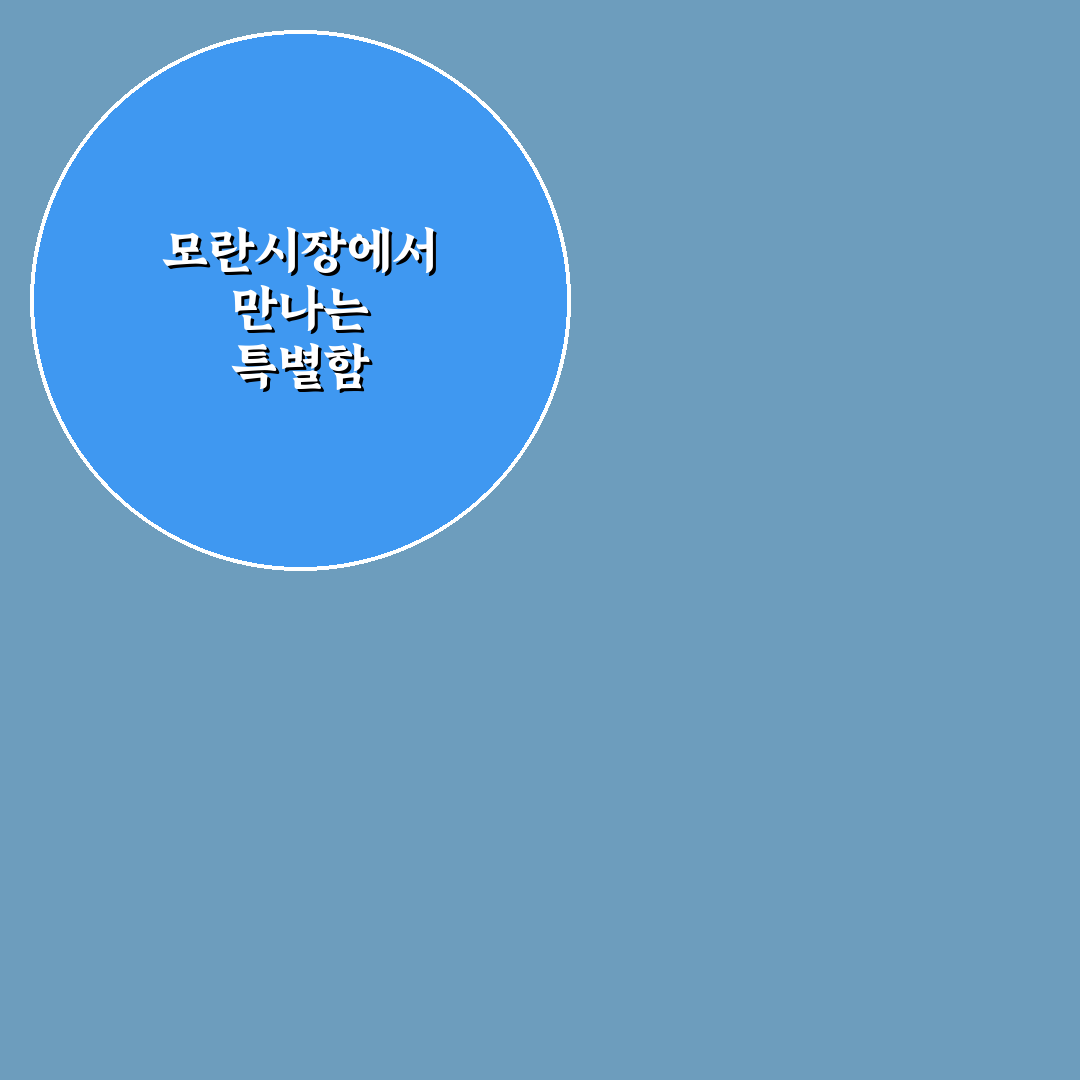 모란시장 5일장 강아지 방문 후기, 실제 경험담