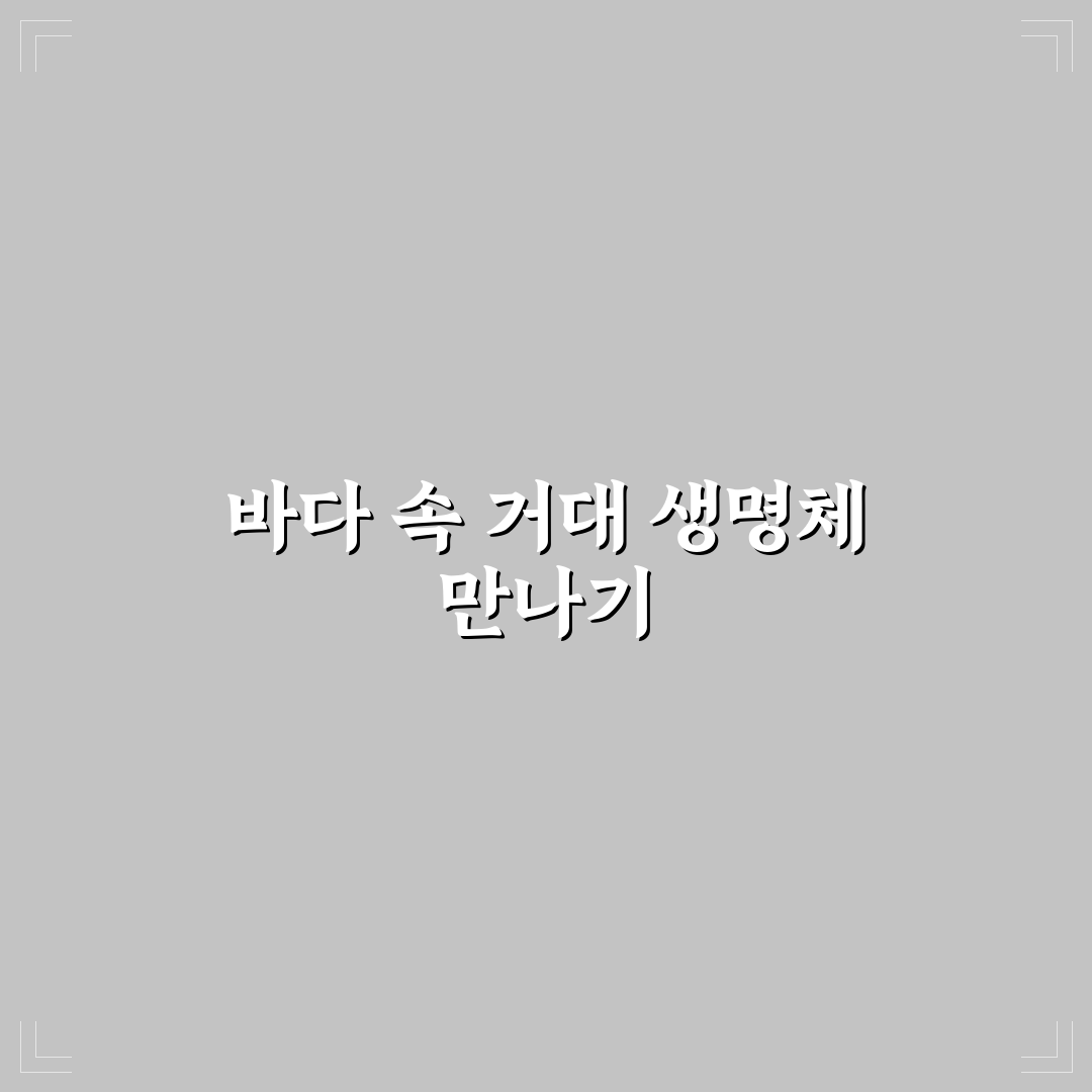 오키나와 혹등고래 체험기, 직접 가보니 풍경과 생태가 인상적이었어요