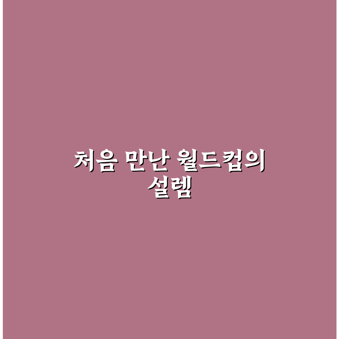 월드컵 하프 타임 쇼 후기, 직접 보고 느낀 점