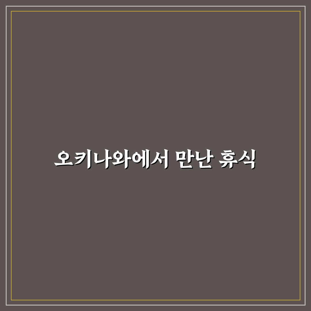 오키나와 더부세나 방문 후기, 직접 가보니 어땠는지