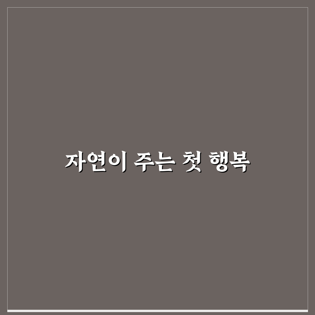 샤스타데이지 키우는 방법, 직접 해보니 알아둬야 할 점