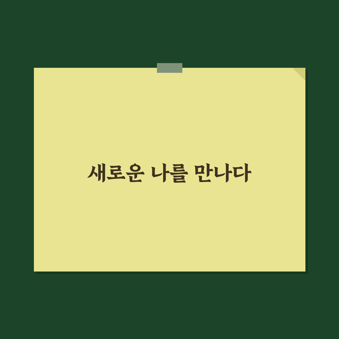 데미안스카시썸머니트4종 사용기, 계절별 착용감 직접 써보니