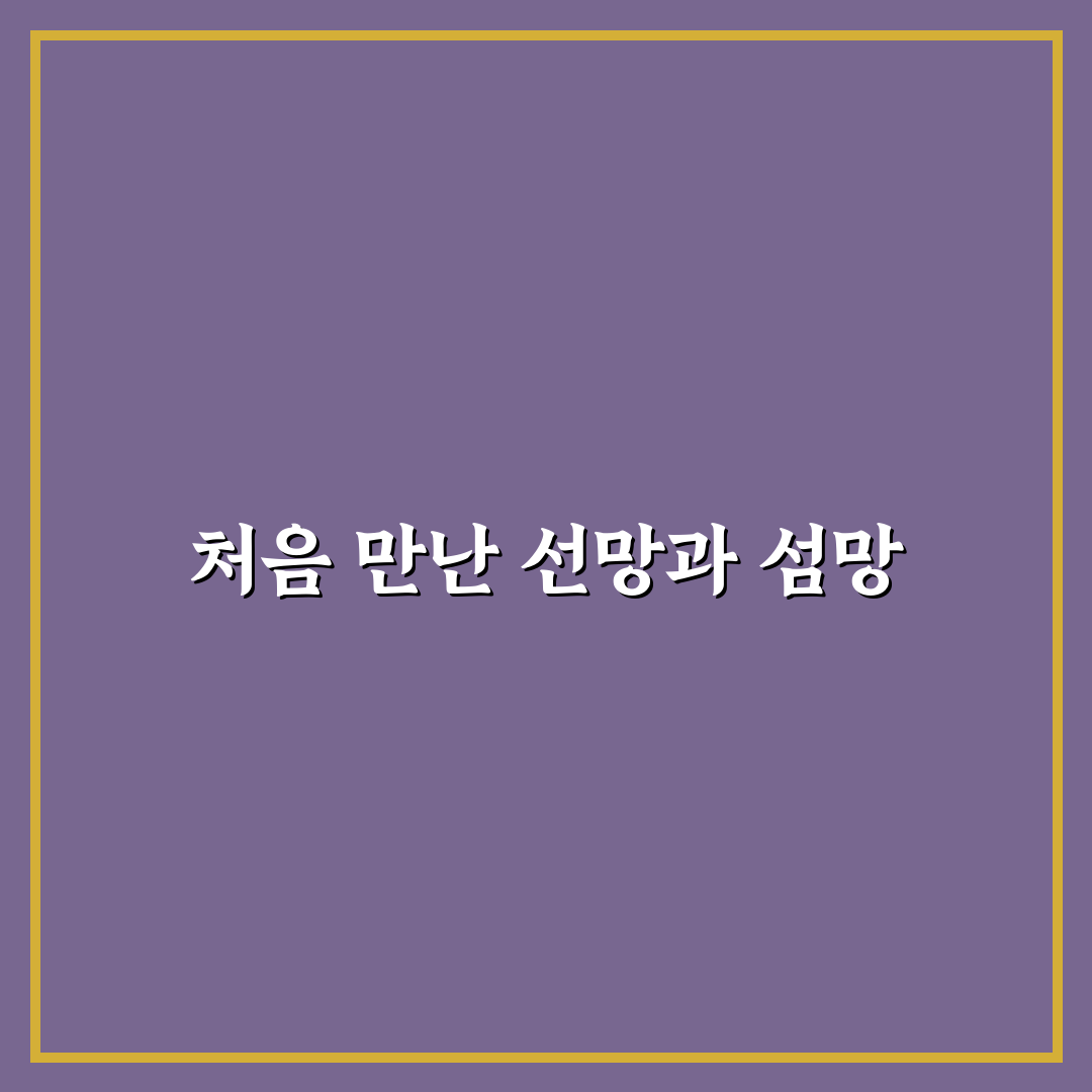 선망 섬망 차이 직접 알아보니 혼란스러웠던 점