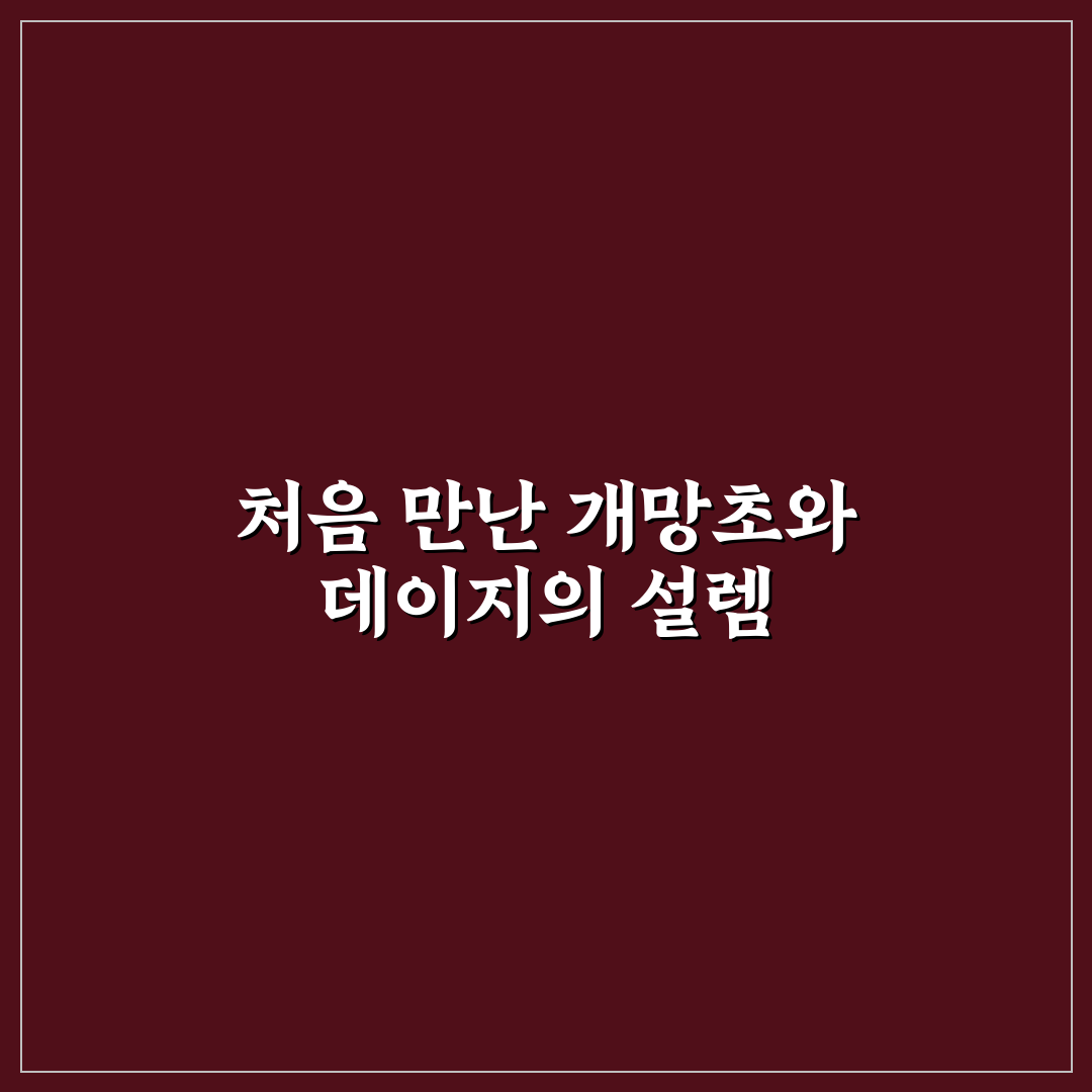 개망초 데이지 차이, 직접 알아보니 달랐던 점