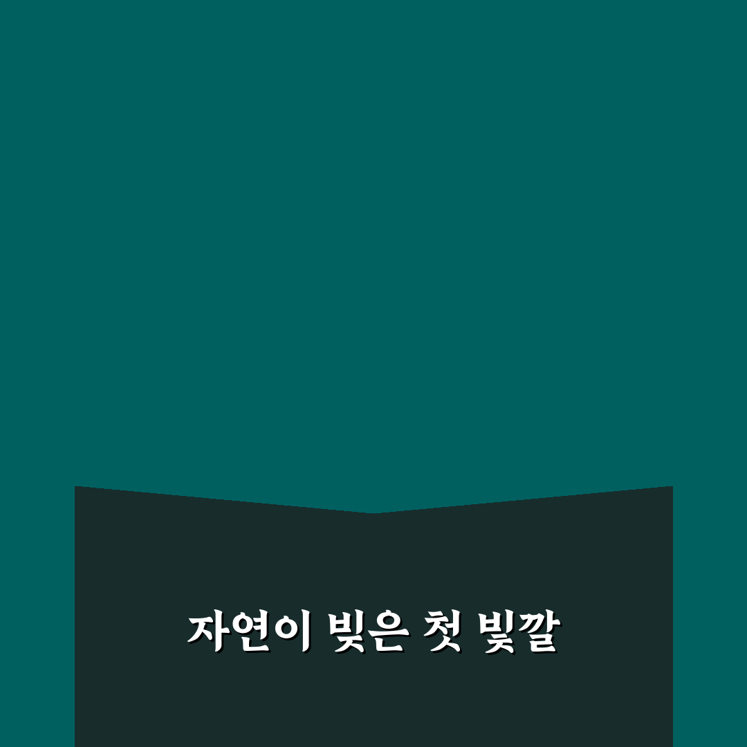 각시붓꽃 포토 후기, 직접 찍어보니 색다른 매력