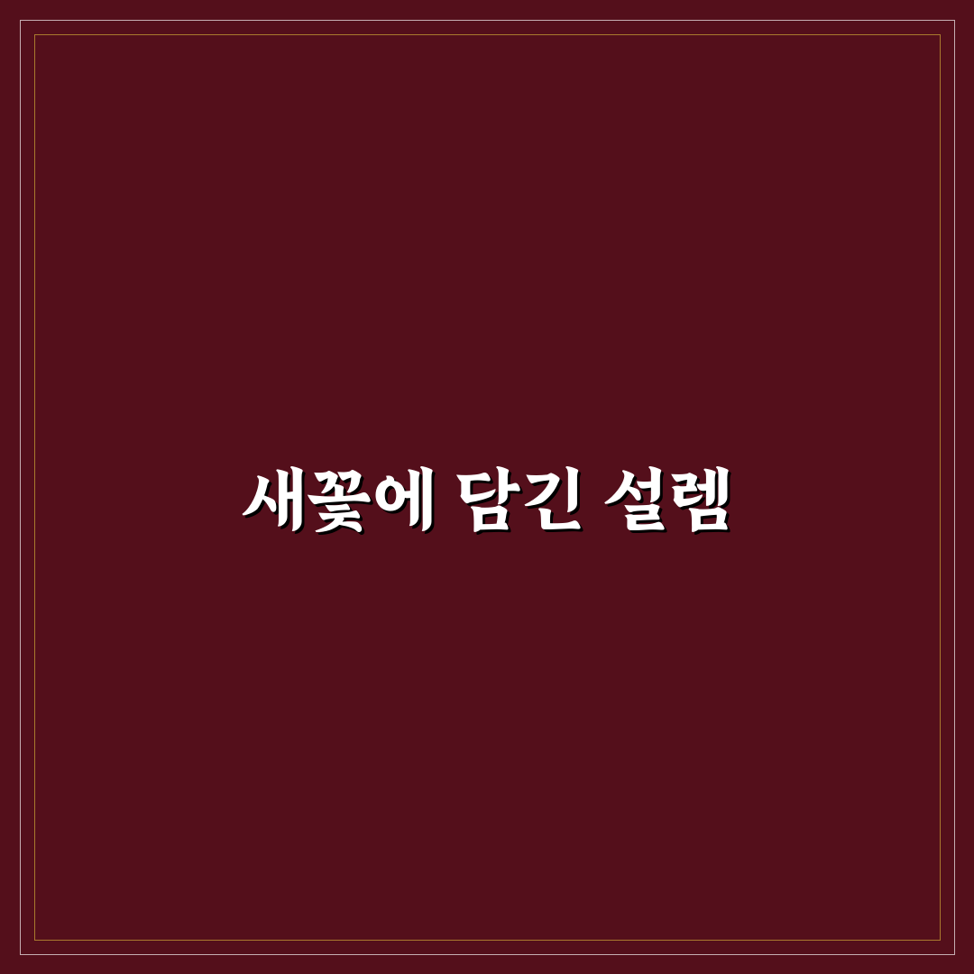 패랭이꽃 카네이션 차이 직접 알아보니 달랐던 점